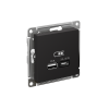 ATLASDESIGN USB РОЗЕТКА A + тип-C 45Вт высокоскор.заряд. QC, PD, механизм, КАРБОН