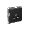 ATLASDESIGN USB РОЗЕТКА тип-С 65Вт высокоскор.заряд. QC, PD, механизм, КАРБОН