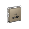 ATLASDESIGN USB РОЗЕТКА тип-С 65Вт высокоскор.заряд. QC, PD, механизм, ШАМПАНЬ