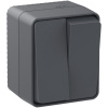 ATLASDESIGN PROFI IP54 О/У 2-клавишный ВЫКЛЮЧАТЕЛЬ, сх.5, 10АХ, АНТРАЦИТ